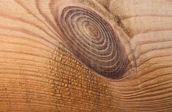 Come comprendere la figura del legno